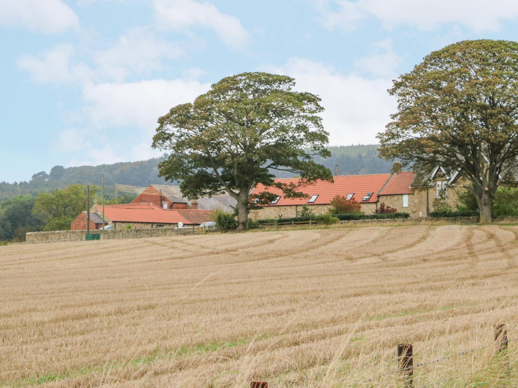 Sheep Pen Cottage Durham Zewnętrze zdjęcie